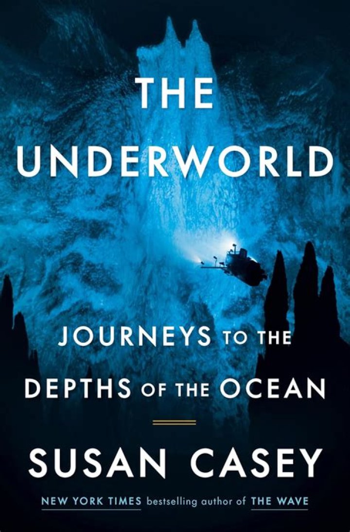 A Journey Into The Depths Of The Criminal Underworld