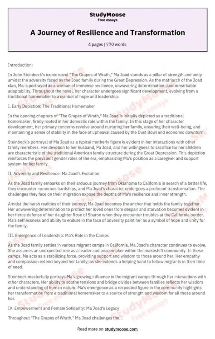 A Journey Of Resilience And Transformation