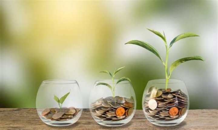 A Path To Financial Triumph