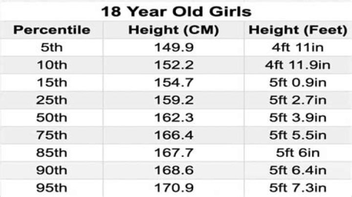 Age, Height, And Wiki Insights Revealed