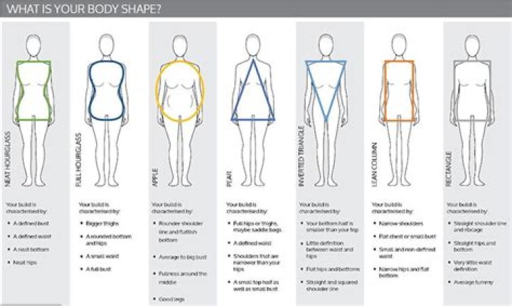 Body Stats And Style Analysis
