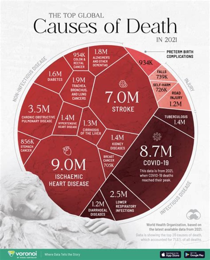 Death Cause Linked To Suicide