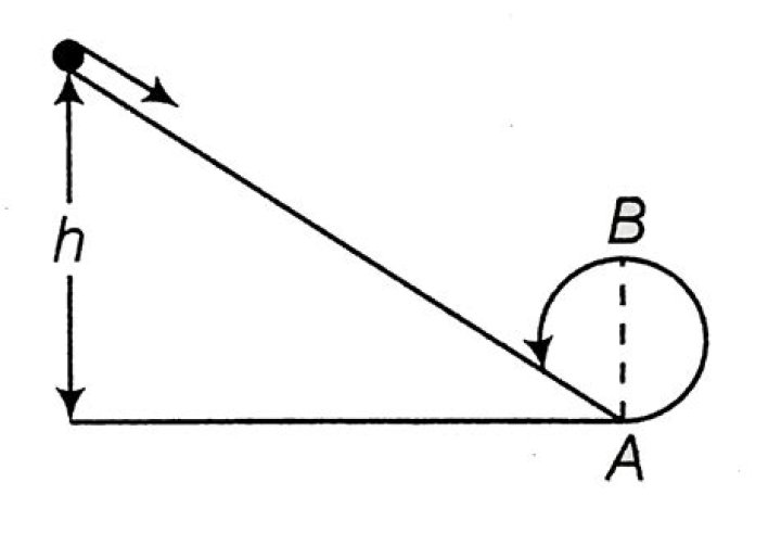 Delving Into The Height Of Brant Miller