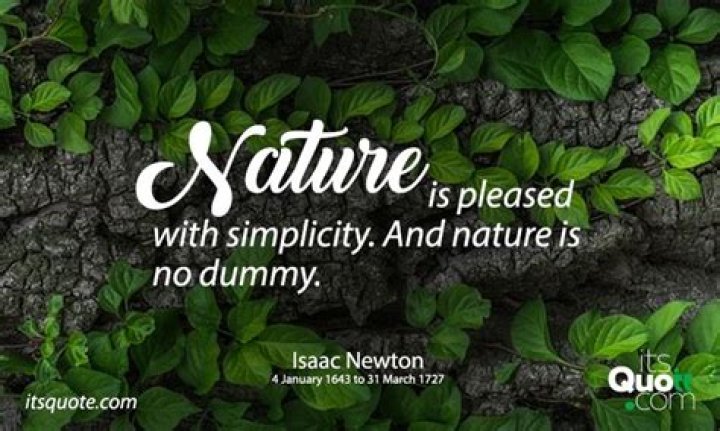 Discover Harmony, Simplicity, And Nature's Embrace