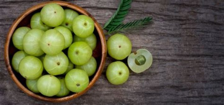 Discover Its Hidden Treasures And Medicinal Marvels