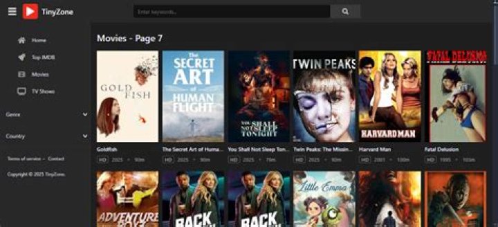 Discover The Hidden Gems Of Entertainment With Tinyzone TV
