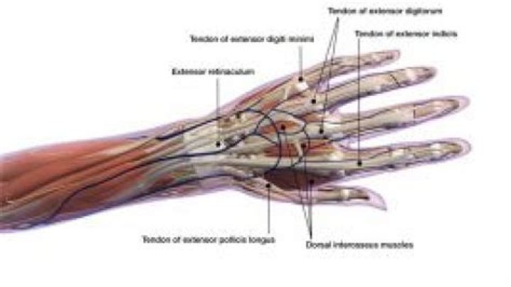 Discover The Meaning Of Thumb In Or Thumb Out