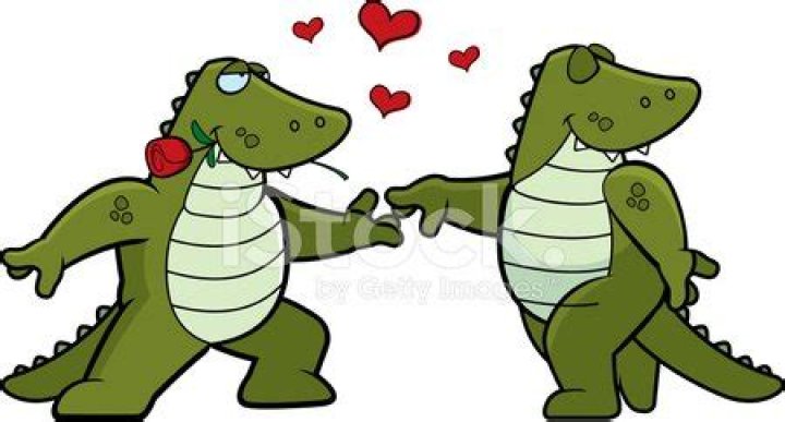 Discover The Secrets Of Alligator Romance!