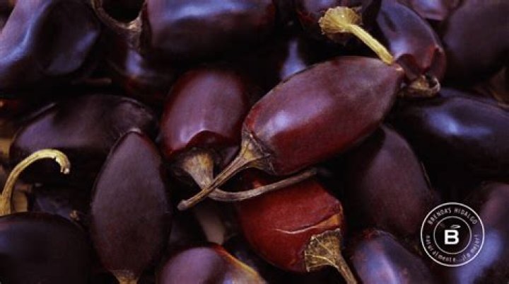 Discover The Secrets Of "El Chile Serrano Seco"