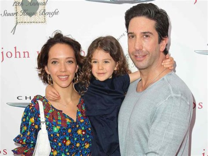 Discoveries And Insights About David Schwimmer's Child