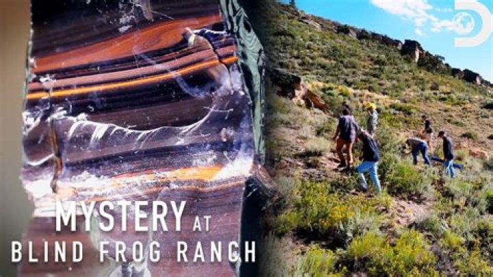 Discoveries And Insights From Blind Frog Ranch