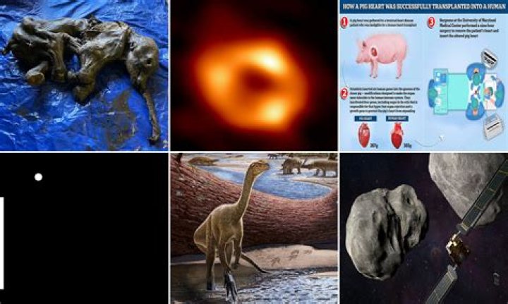 Discoveries And Insights From Dr. Kristine Leroux