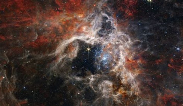 Discoveries And Insights Into Ashley Lundqvist's Stellar Rise