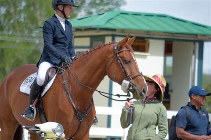 Equestrian Mastery Meets Financial Brilliance