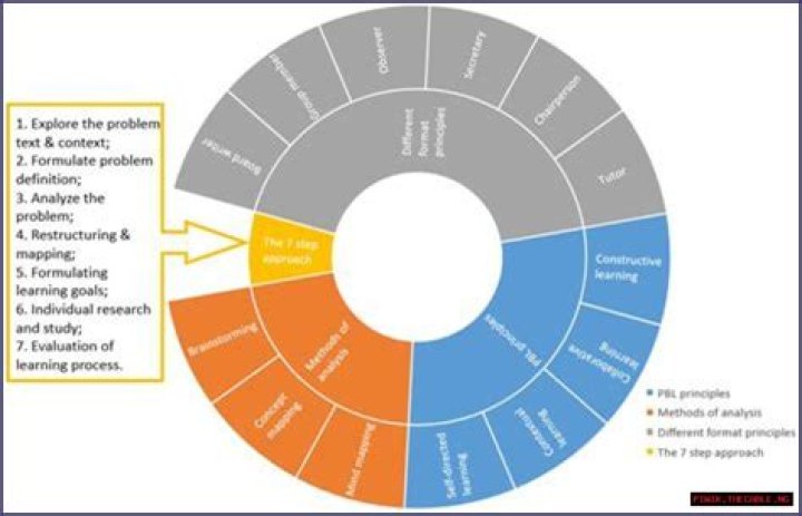 Experience, Expertise, And Impact Revealed