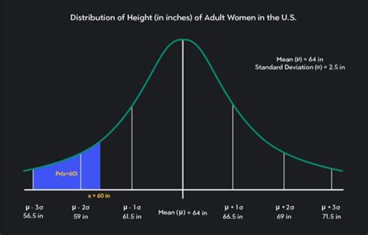 Exploring The Height Of A Pop Icon