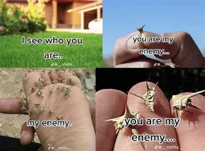 Exploring The Meaning Of "You Are My Enemy"