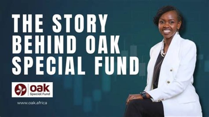 Funding Behind Oak Island's Enigmatic Exploration