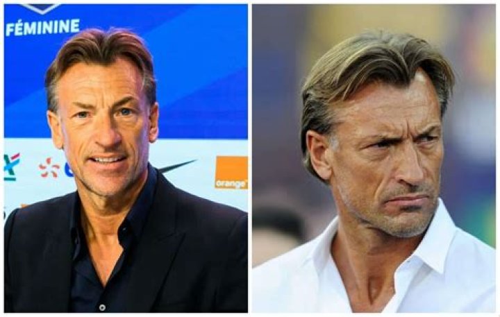 Herve Renard net worth and salary