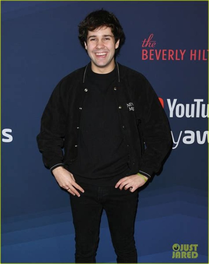 How Much Is David Dobrik Really Worth? |