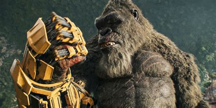 How Rich is the King of Kong? |