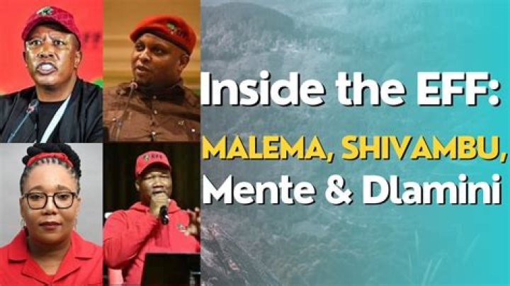 How Wealthy is the EFF Leader? |