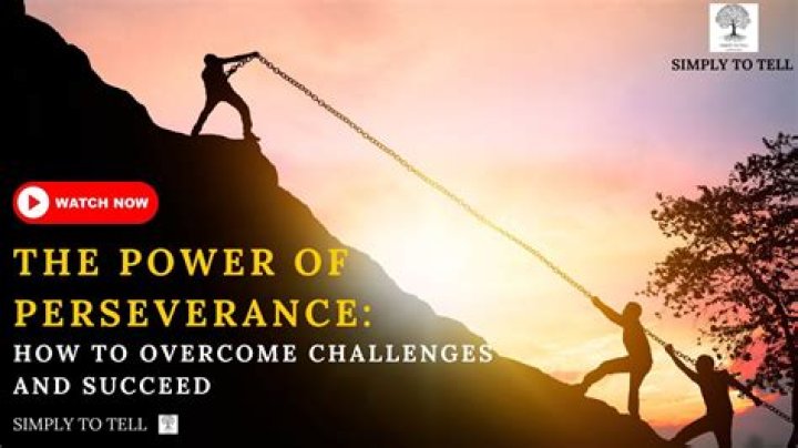 Insights Into Success And Perseverance