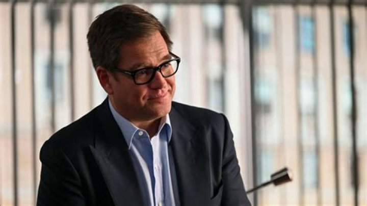 Michael Weatherly's Net Worth Revealed
