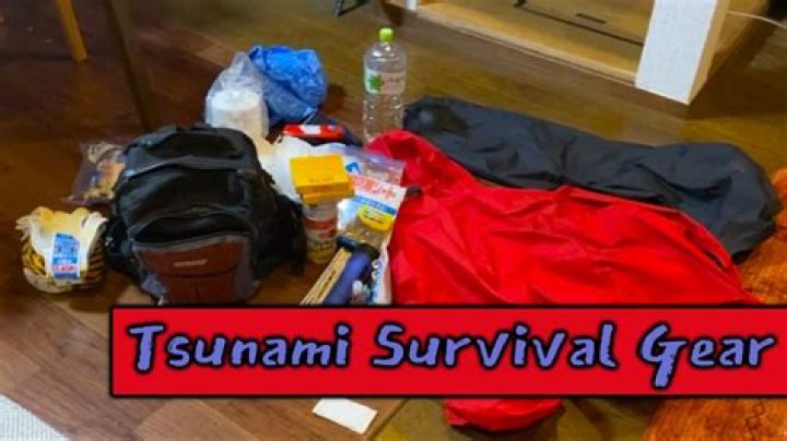 Nate Berkus' Tsunami Survival And Resilience