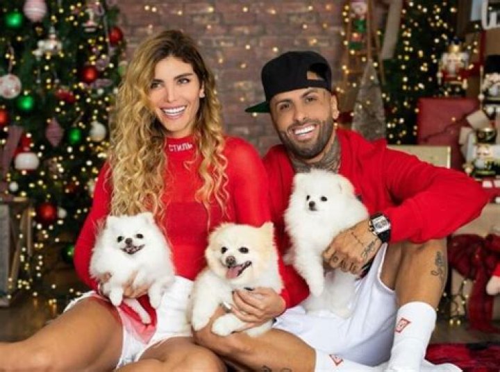 Nicky Jam And Aleska Genesis: Uncovering The Truth