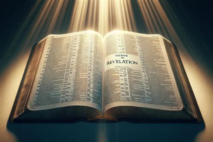 Surprising Revelations And Deeper Understanding