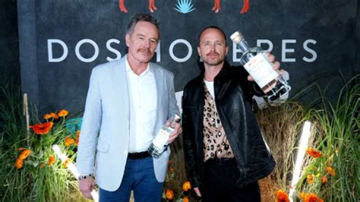 Uncover The Financial Secrets Of Aaron Paul's Empire