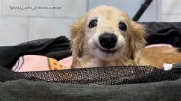 Uncovering Ben Napier's High School Roots: A Journey Of Discovery