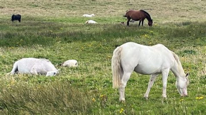 Uncovering Facts And Shattering Myths