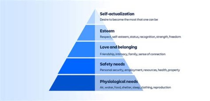 Uncovering The Factors And Implications