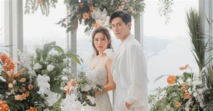 Uncovering The Hidden Story Behind The "Nicole Seah Husband Photo"