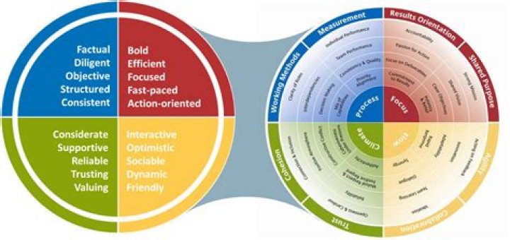 Uncovering The Insights And Revelations