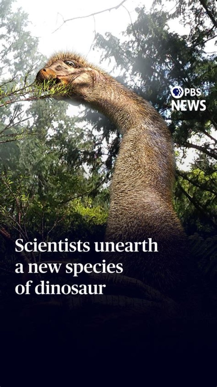 Unleash Discoveries And Insights With Www.akav.net