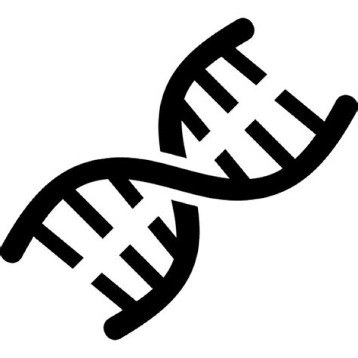 Unlocking The Secrets Of Exceptional Height: Unraveling Genetics And Impact