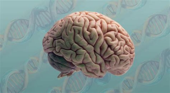 Unlocking The Secrets Of Expression And Attraction