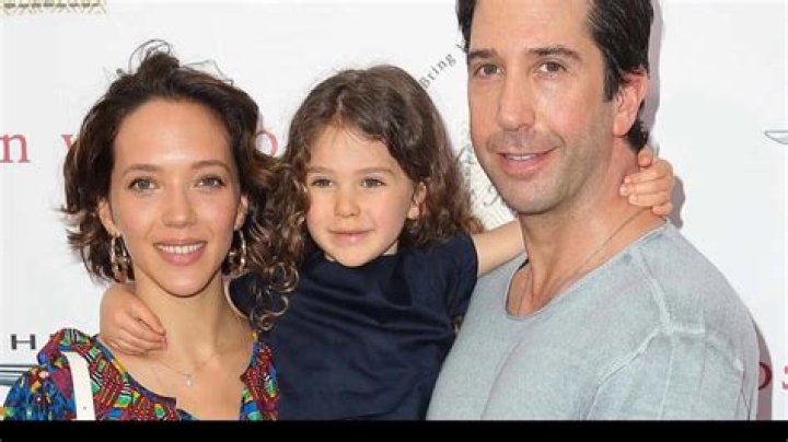 Unveil The Unseen World: David Schwimmer's Sister Revealed