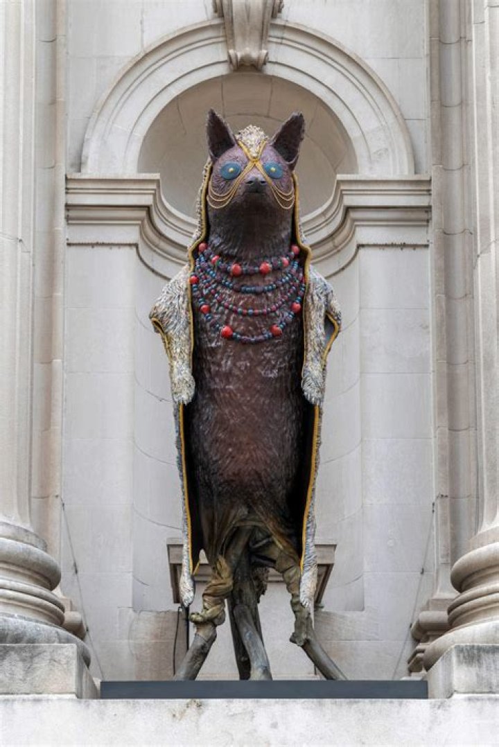 Unveiling Jeffrey Clark's Mysterious Wife