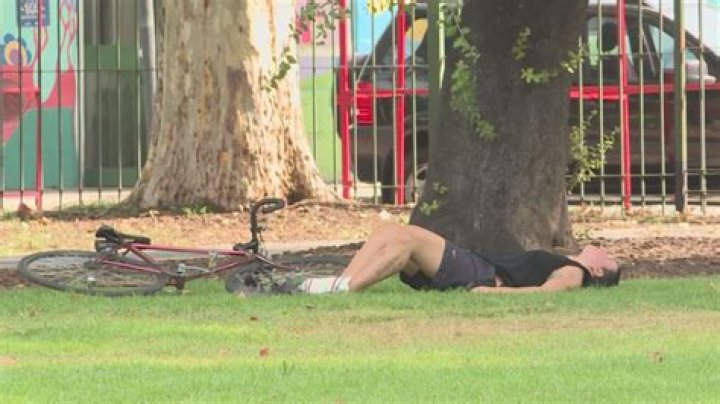 Unveiling Malcolm Nance's Net Worth: Surprising Insights Revealed