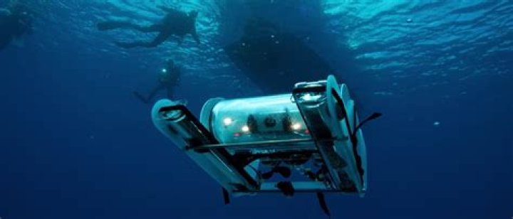 Unveiling Ocean Alley's Net Worth: Surprising Insights Revealed