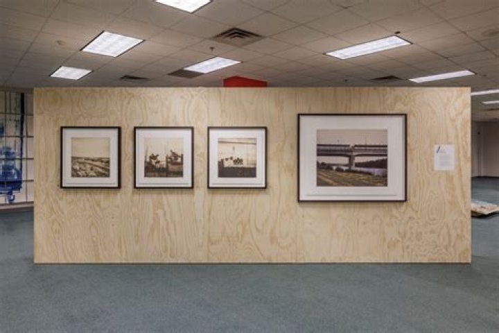 Unveiling The Art Of Susan Mikula Young: Discoveries And Insights Await