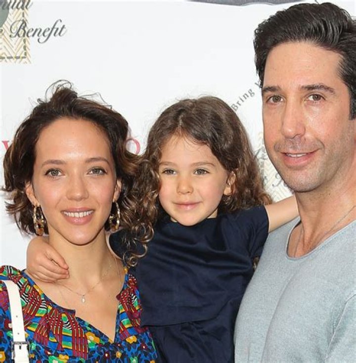 Unveiling The David Schwimmer Family: Exclusive Insights And Revelations
