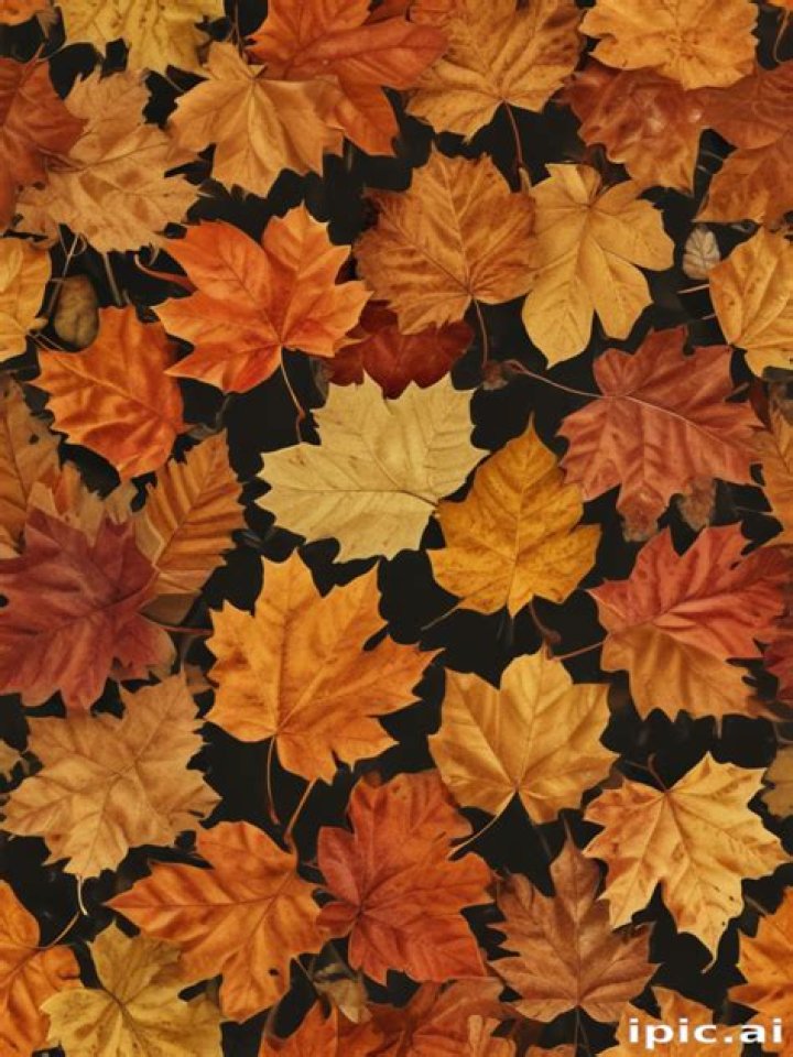 Unveiling The Enchanting World Of Autumn's Vibrant Canvas