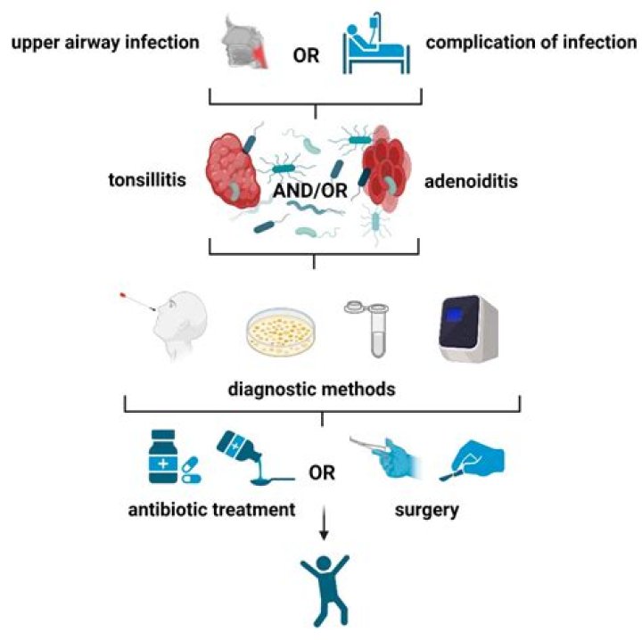 Unveiling The Enigmatic Ellen Napier: Discoveries And Insights