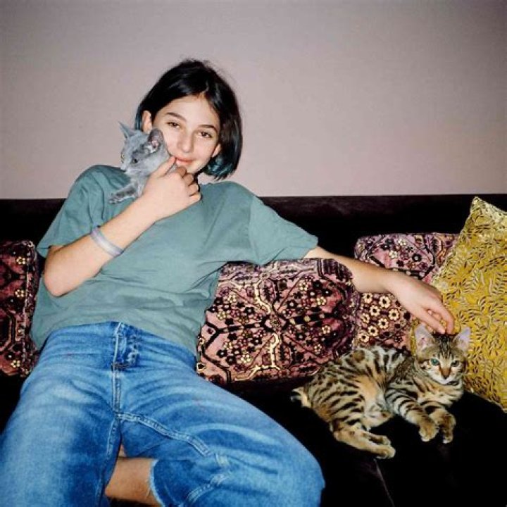 Unveiling The Enigmatic Life Of David Schwimmer's Daughter: Discoveries And Insights