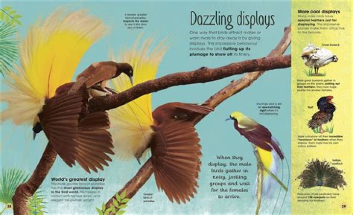 Unveiling The Extraordinary World Of Fleur Cates: Discoveries And Insights